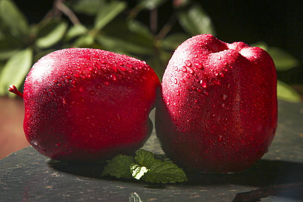 خرید و قیمت سیب صادراتی + فروش عمده